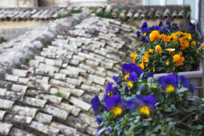 Le Violette Matera